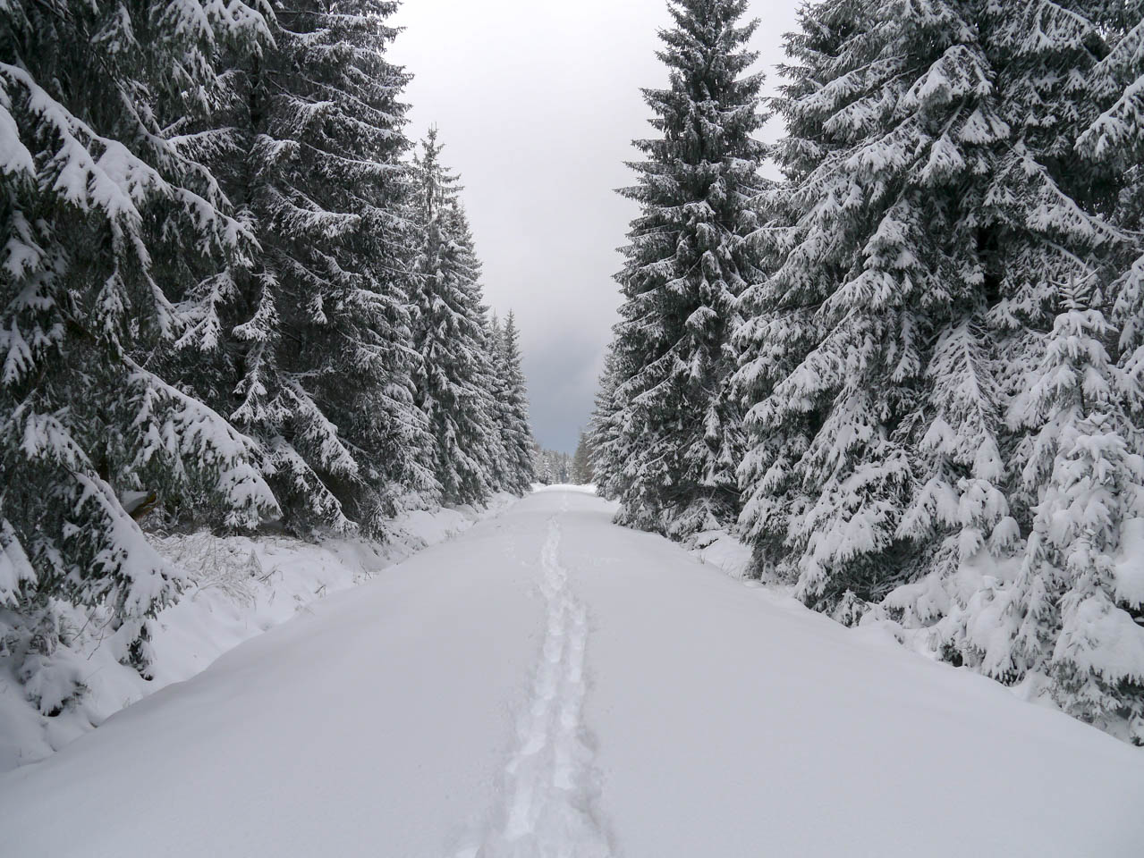 Schneevergnügen in der Eifel – Fernweh und so